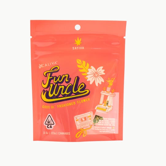 Fun Uncle - Double Dream - 1