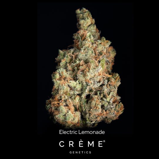 Crème Genetics - Electric Lemonade (25% THC Sativa) - 1