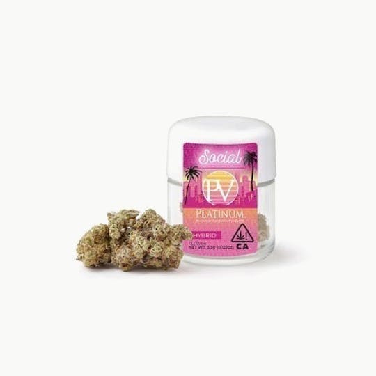 Platinum Vape - Platinum Vape Platinum GSC (Hybrid) Prepacked Flower 3.5g - 1