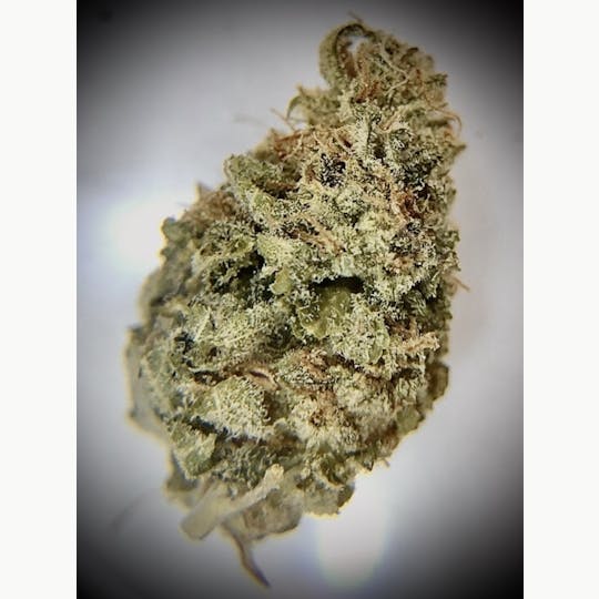 Simply Cannabis 207 - Tangie - 1
