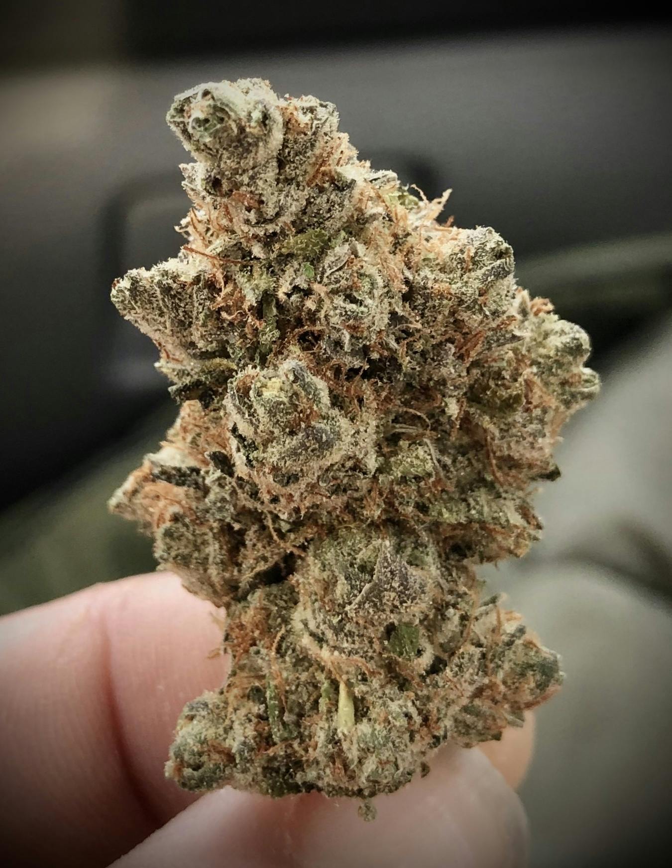 Simply Cannabis 207 - 🤛 Punch Breath 💨 - 1