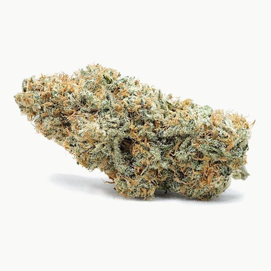 High Tide Organics - Strawberry Surfer | Indoor - 1