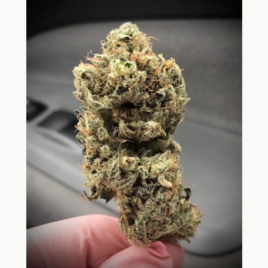 Simply Cannabis 207 - *GG4* - 1