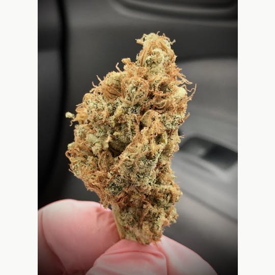 Simply Cannabis 207 - 🧼 Mr. Clean 🧹 - 1