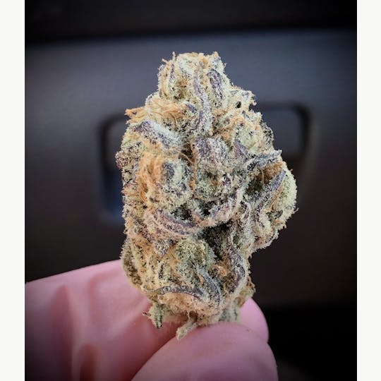 Simply Cannabis 207 - 🍒 Black Cherry Punch 🤜 - 1