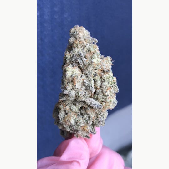 Simply Cannabis 207 - MAC - 1