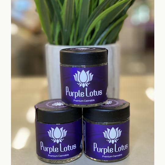 Purple Lotus - Wedding Crasher - 1