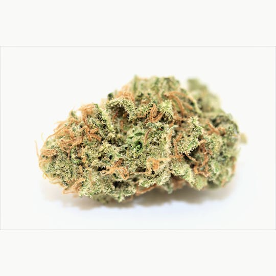 Elevation 207 - Silverback Glue - 1