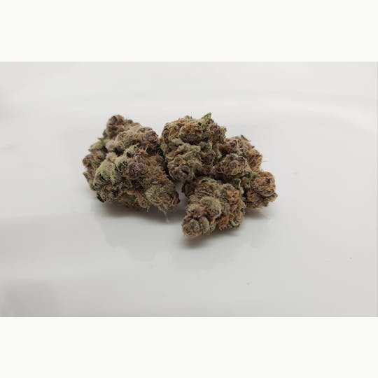 Delightful Hights - Black Cherry Punch - 1