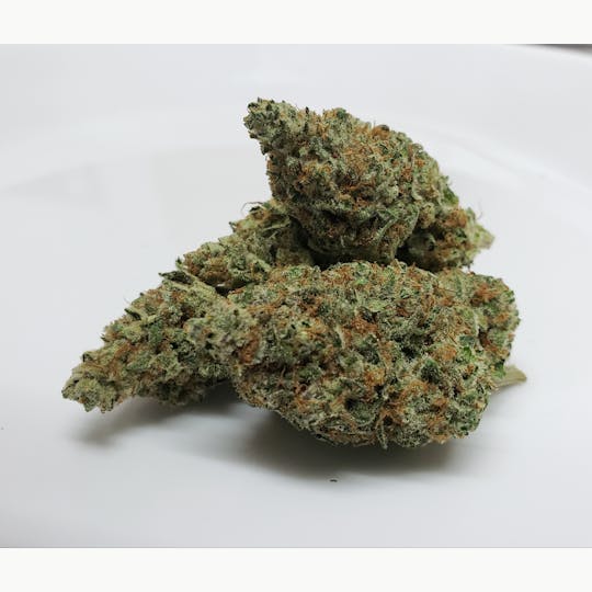 Delightful Hights - Blueshine - 1