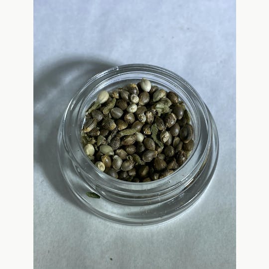 Marks Organix - Organic Seeds - 1