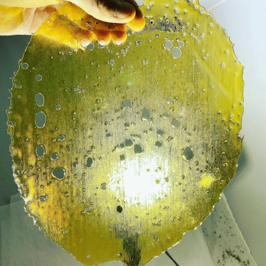 Marks Organix - Kush Mint Shatter - 1