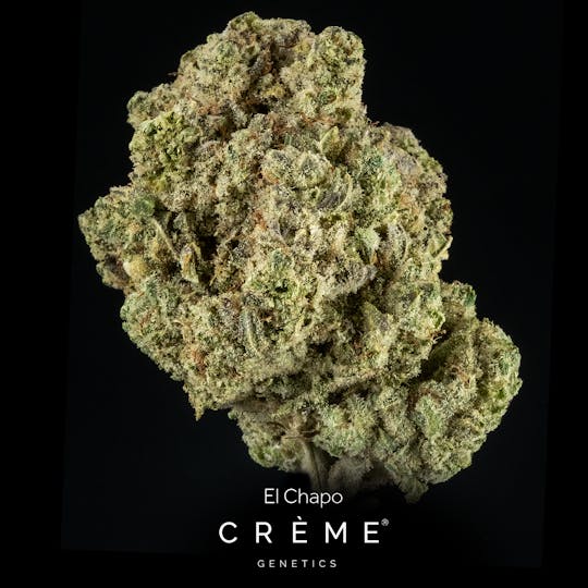 Crème Genetics - El Chapo (25% THC Indica) - 1
