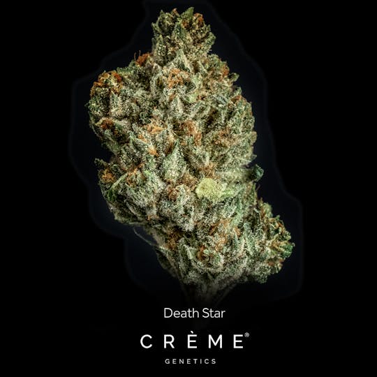 Crème Genetics - Death Star (3.5g) - 1