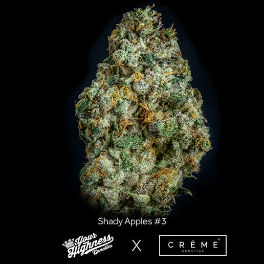 Crème Genetics - Shady Apples #3 (3.5g) - Your Highness Genetics LA - 1