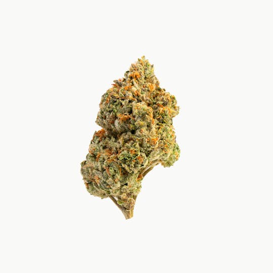 Brigid Farm - Cookie Head #1 - 1