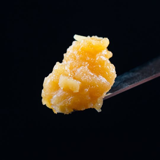 Brigid Farm - GMO - 1