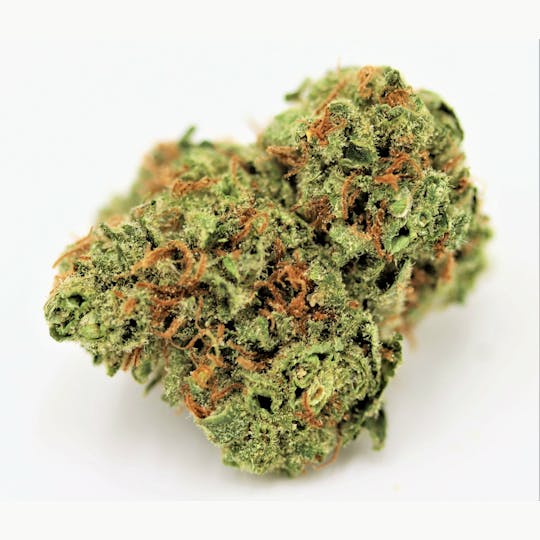 Elevation 207 - Lemon Fuel - 1