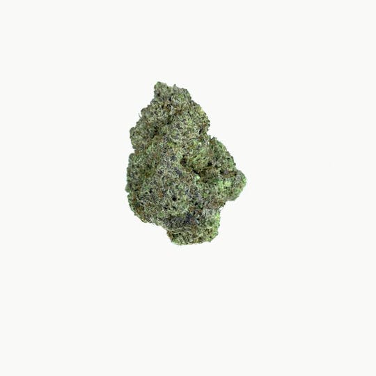 Space Monkey Meds - Cherry Glue - COA - 1