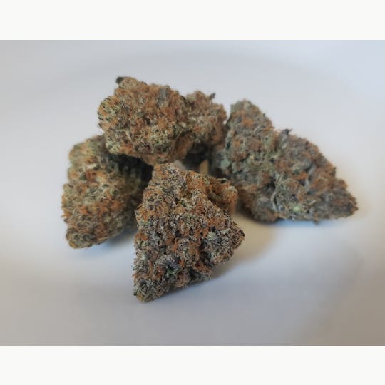 Delightful Hights - Mimosa - 1