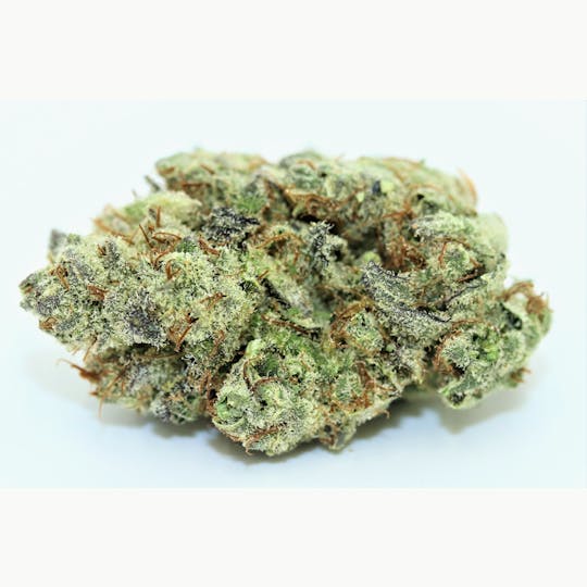Elevation 207 - Strawberry Glue - 1