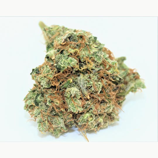 Elevation 207 - Kali Mist - 1