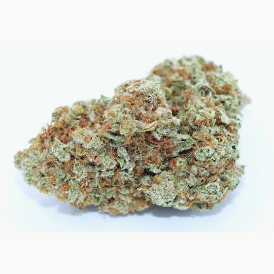 Elevation 207 - Sweet Tooth - 1