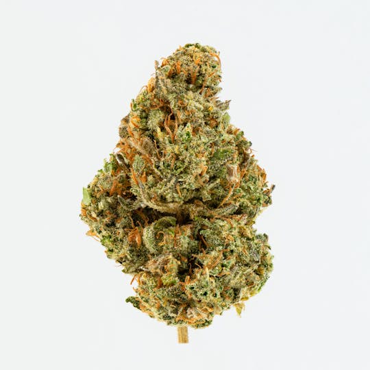 Brigid Farm - Zweet Inzanity - 1