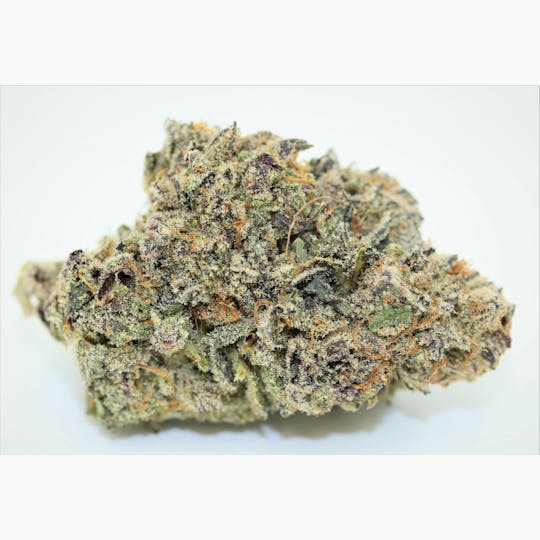 Elevation 207 - Purple Dogbud - 1