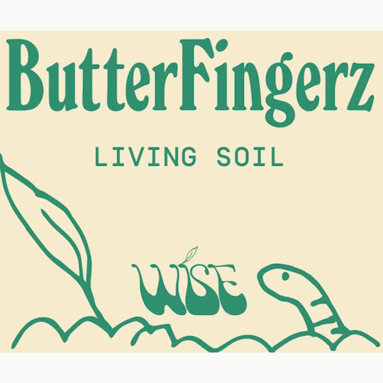 Wise - Wise | Butterfingerz - 1