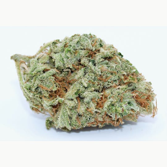 Elevation 207 - Cream - 1