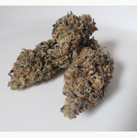 Delightful Hights - Mendo Breath - 1