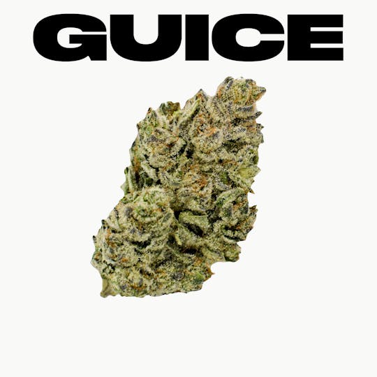 TYSON 2.0 - The Guice - 1