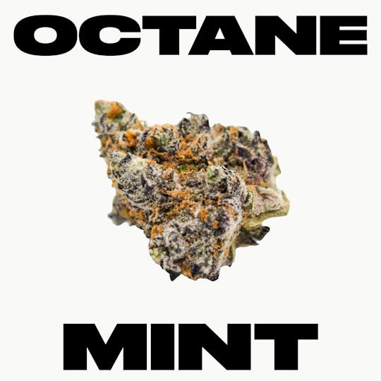 TYSON 2.0 - Octane Mint Sorbet - 1