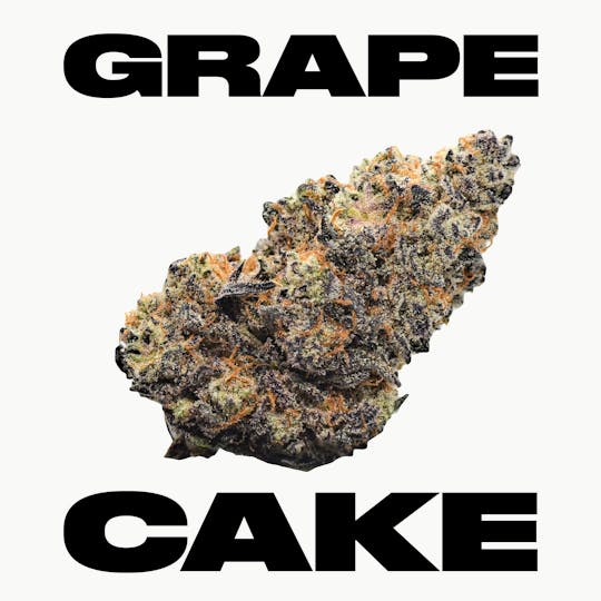 TYSON 2.0 - Grape Cake - 1