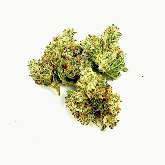 Gorilla Gardens - Trainwreck - 1