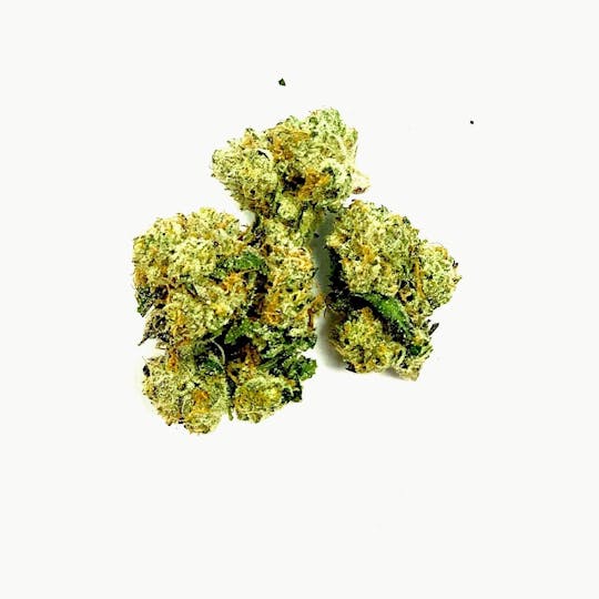 Gorilla Gardens - Gelato - 1