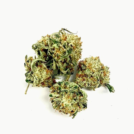 Gorilla Gardens - Pootie Tang - 1