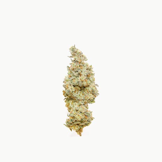Maine Cannabis Exchange - Slurricane - 1