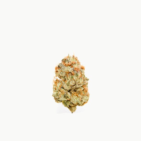 Maine Cannabis Exchange - Galactic Punch - 1