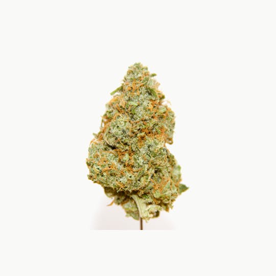 Maine Cannabis Exchange - Lime Berry Mega - 1