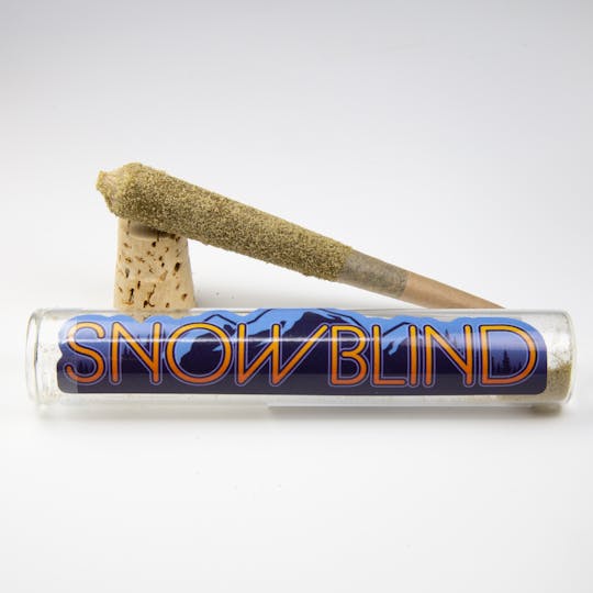 Snowblind Cannabis - Gelato #33 Moon Missile - 1