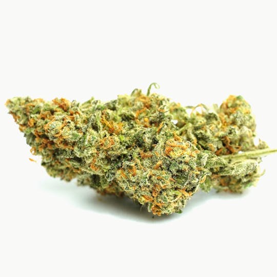 PONO LIFE MAUI - Dream Queen - 1