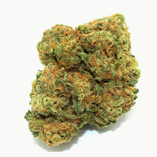 Elevation 207 - Skunk Dawg - 1