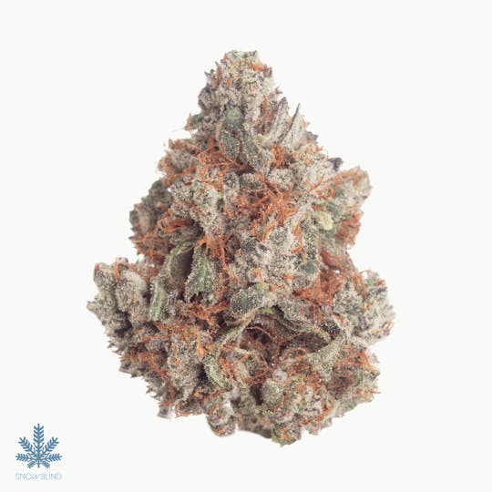 Snowblind Cannabis - Tri Fi - 1