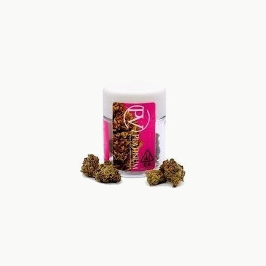 Platinum Vape - Platinum Vape SFV OG (Sativa) Prepacked Flower 3.5g - 1