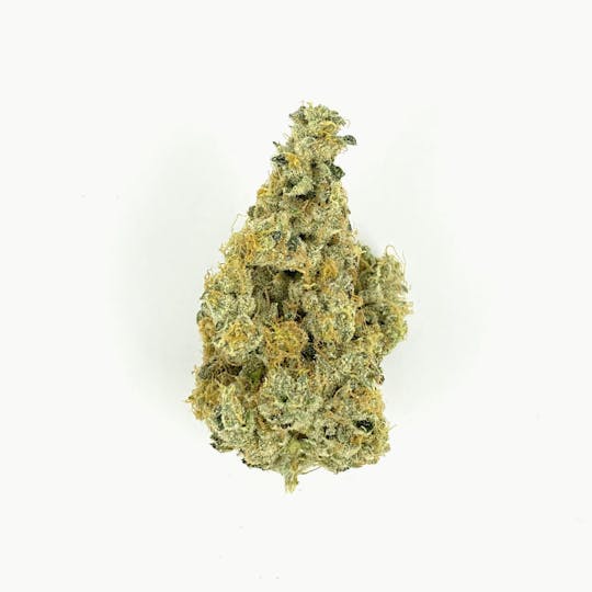 Indico - Wedding Cake - 1