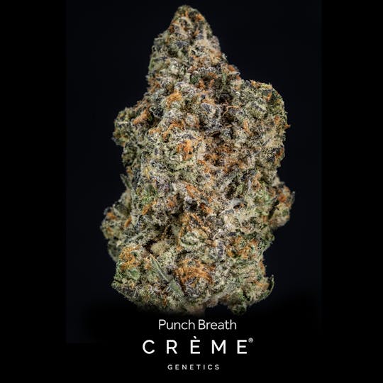Crème Genetics - Punch Breath (3.5g) - 1