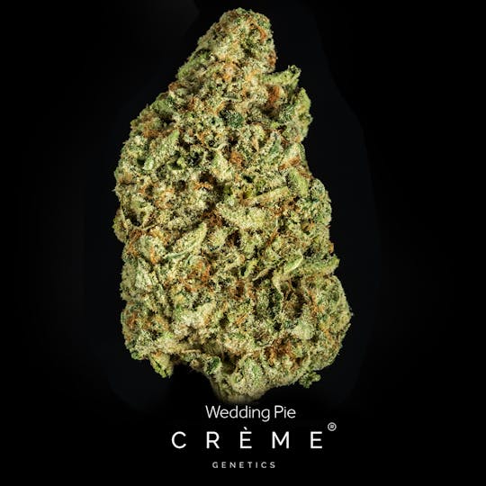 Crème Genetics - Wedding Pie (3.5g) - 1