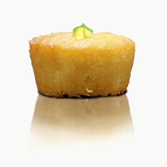 YiLo Edibles - Lemon Buttermilk Pound Cake 30mg - 1